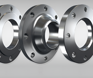 SS Flanges