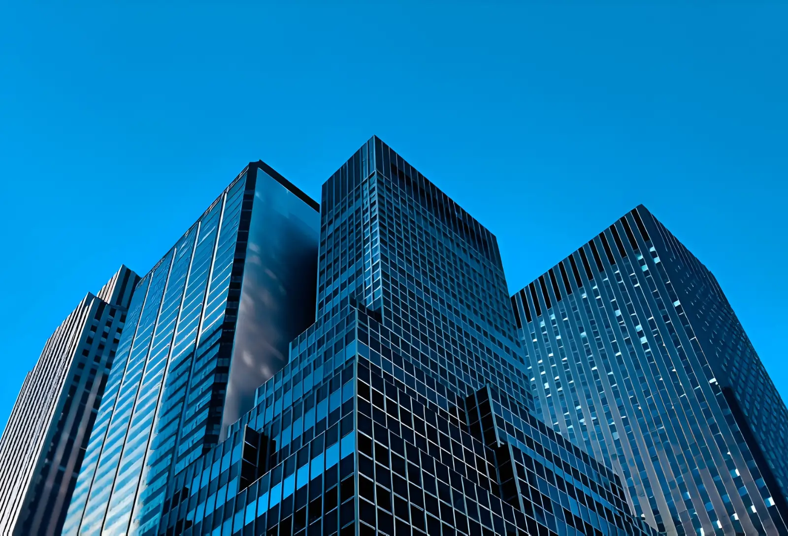 Company Profile